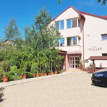 Отель Vila Leonard Костинешти Экстерьер фото